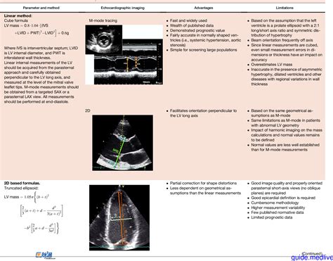 Recommendations for Cardiac Chamber Quantification by Echocardiography 